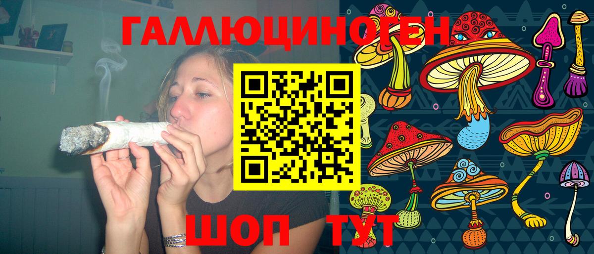 Галлюциногенные грибы Psilocybe  Вход с VPN  Чехов  Псилоцибиновые грибы Cubensis 