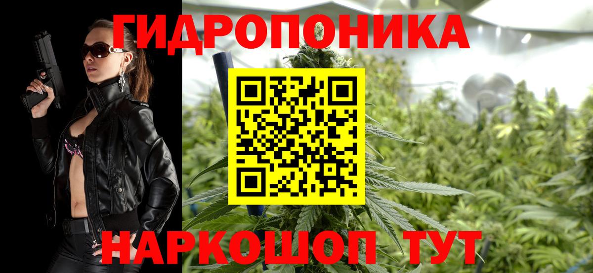 Шишки марихуана VHQ  Каннабис план  Конопля тримм  Чехов  Вход с VPN  Конопля AK-47 
